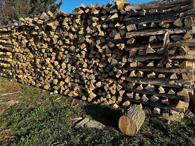 Prodám tvrdé dubové palivové dřevo, - 2