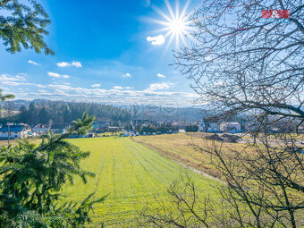 Prodej louky, 11767 m², Benešov - 2
