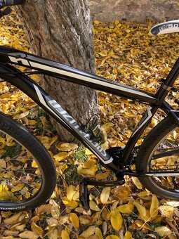 Kolo Specialized 29 - 2