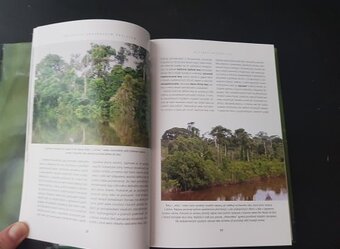 Procházka Amazonským pralesem - 2