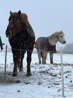 Valach pro začátečníky - 2