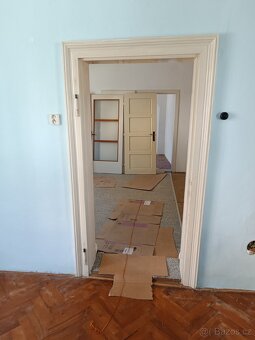 Staré poctivé dveře - 2