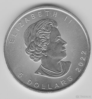 Mince stříbrný uncový dollar Canada 2022 - 2