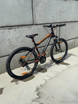 Kellys viper 30 - 2
