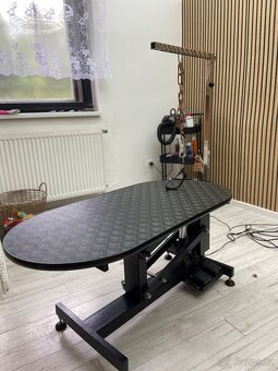 Profesionální elektrický trimovací stůl - 2