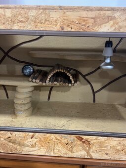Terarium 120x50x50cm - 2