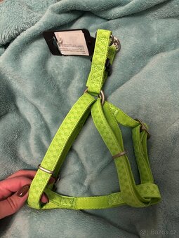 Vodítko a kšíry - 2