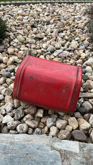 Kastlík mustang - 2