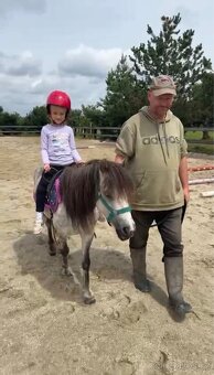 Prodám poničku - 2