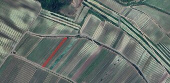 PRODEJ VINICE V BŘEZÍ U MIKULOVA - 2