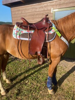 Allround sedlo Tom Zajac - 2