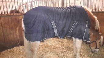 Stájová termodeka - 2