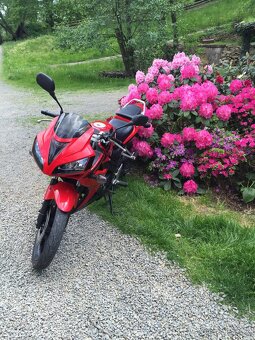 Honda CBR 125 R - 2