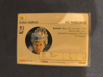 Hokejová Karta - Dušan Salfický APS 94/95 - 2