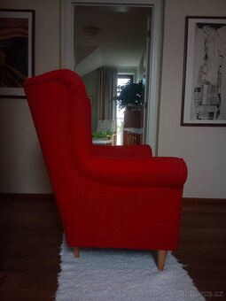 Červený ušák - 2