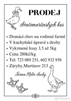 Svatomartinská Husa - 2