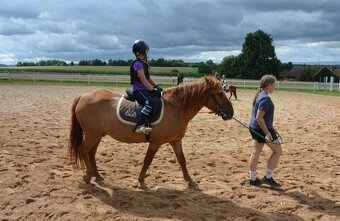 Prodám hucula 18let - 2