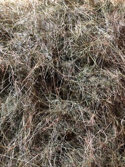 PRODÁM LEVNĚ KRÁSNÉ ZELENÉ A VOŇAVÉ SENO 2025 - 2