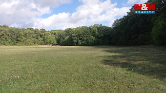 Prodej louky, 16692 m², Jenčice - 2