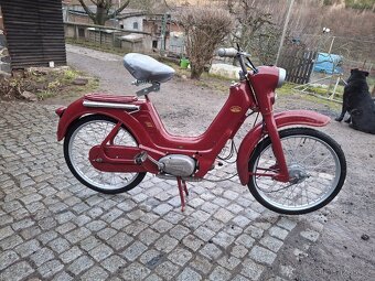 Jawetta 551 standard - 2