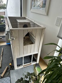 Rabbit cage large indoor - 2
