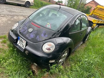 Dily beetle - 2