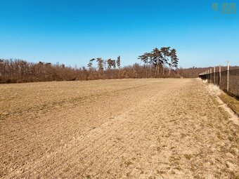 Prodej pozemky - zahrady, 7 000 m2 - Dobšice, ev.č. 01717 - 2