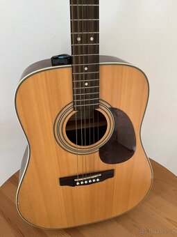 Cort Earth 70 NS - 2