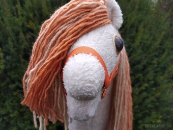 Hobby horse - 2