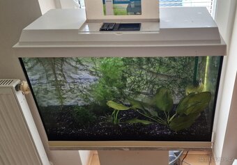 Akvarium Juwel Primo 70l - 2