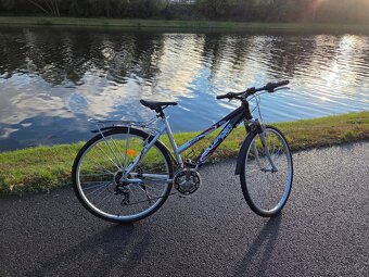 Leader Fox Toscana Lady 19" - 2