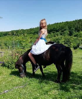 Pony valášek - 2