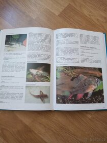 Encyklopedie akvarijních ryb - 2