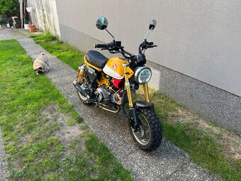 Honda monkey 125 custom - 2