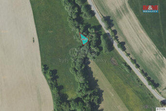 Prodej louky, 237 m², Pravonín - 2