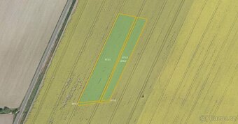 Zemědělská půda, prodej, Dolní Roveň, Pardubice - 2