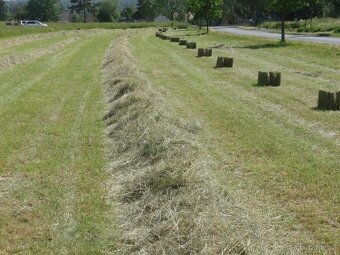 Seno, malé balíky - 2