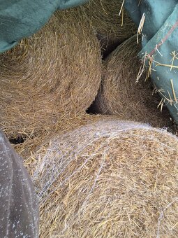 Prodám balíky slámy - 2