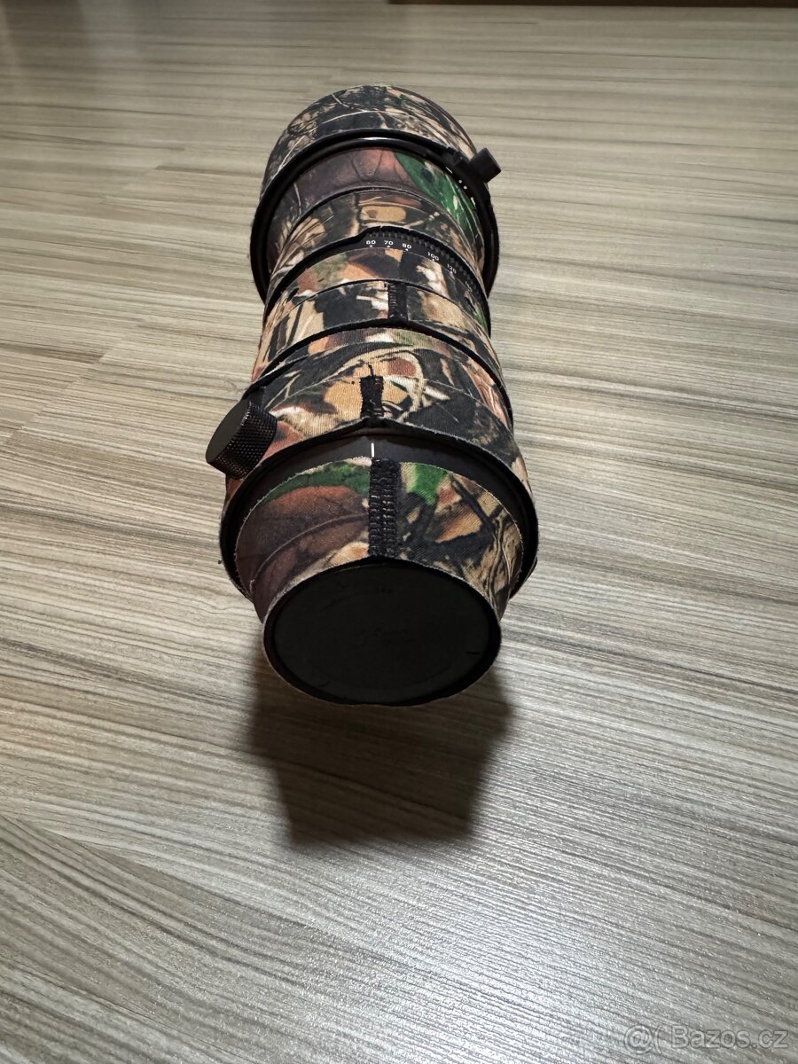 Sigma 60-600mm OS DG canon - 3