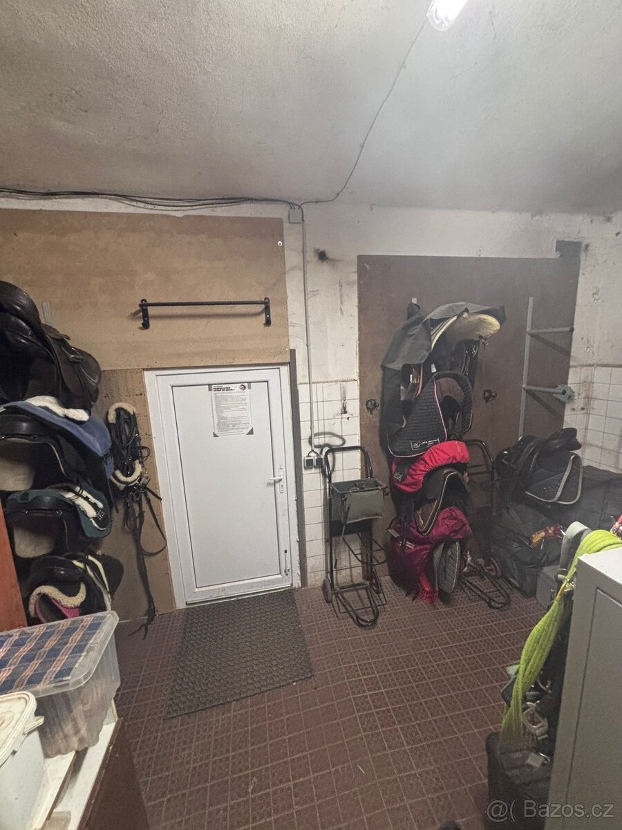 Ustájení a výcvik koní - 3