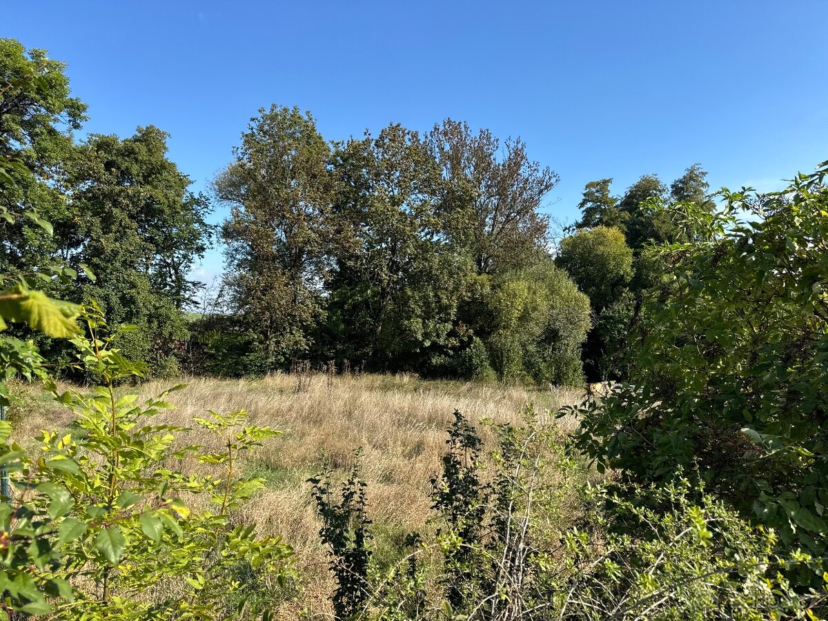 Stavební pozemek za výbornou cenu 1.900,-/m2 - 3