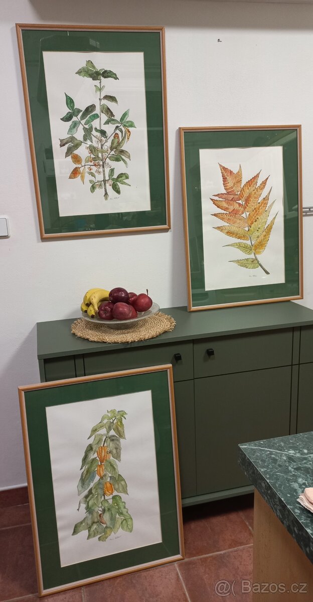 Obraz akvarel III - 3