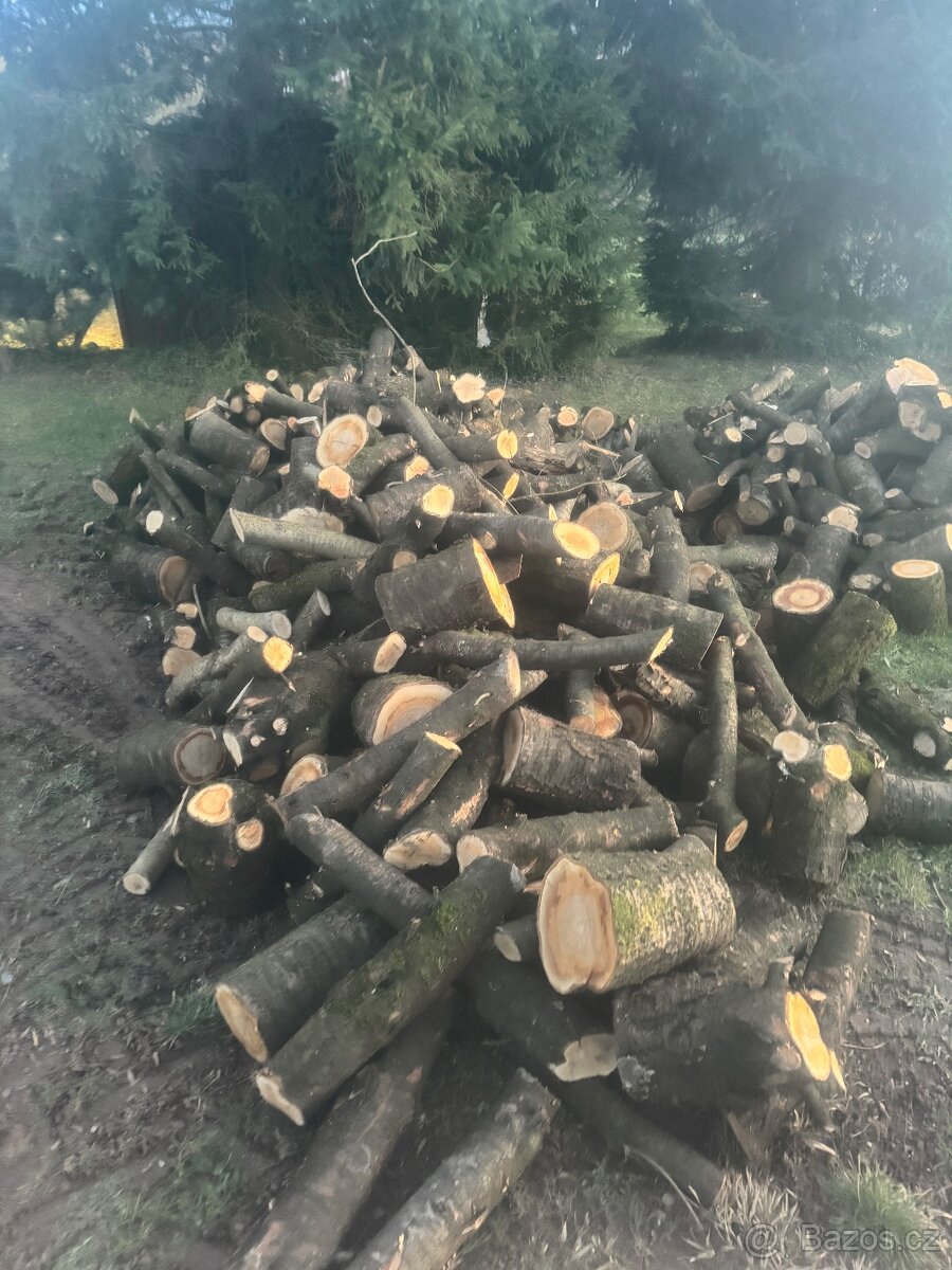 Palivové dřevo - 3