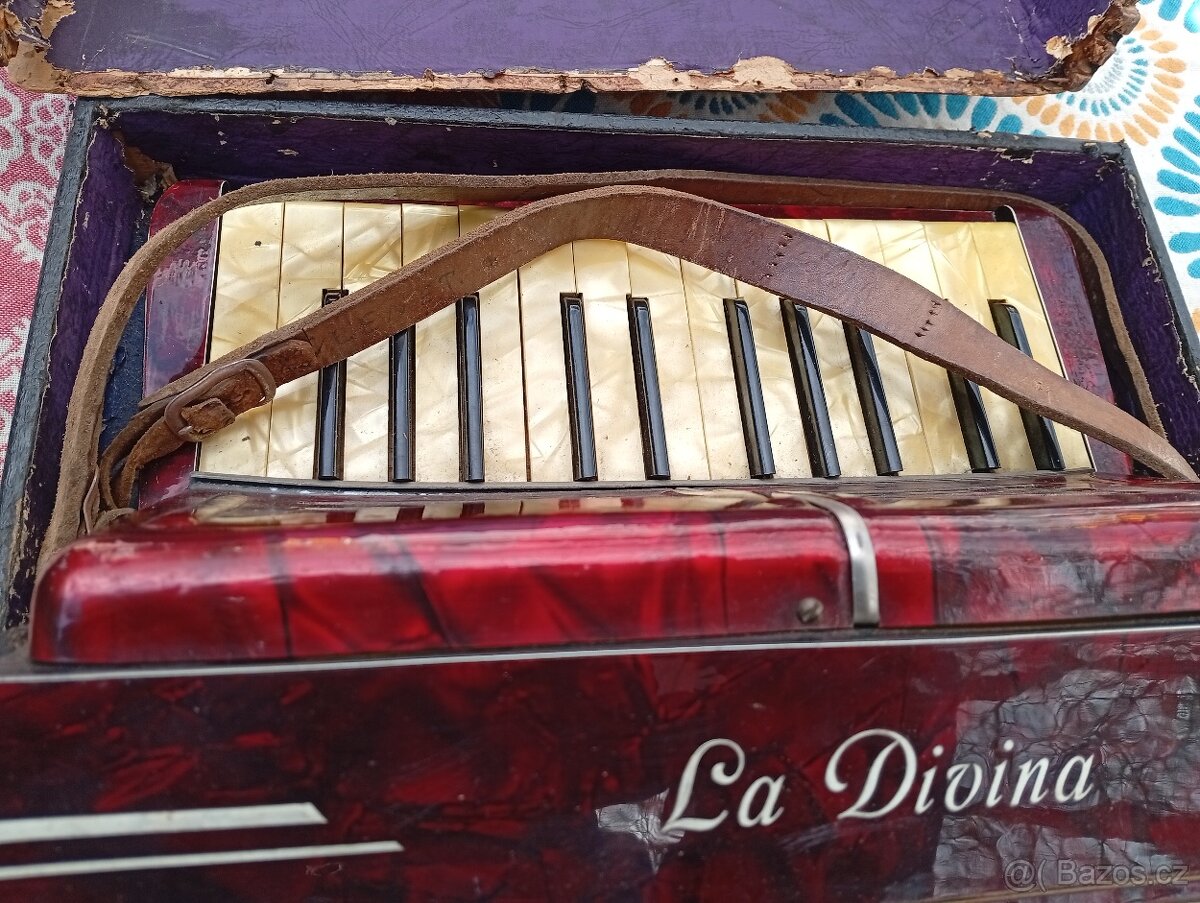 Hohner La Divina 48 Bass Accordion harmonika STAROZITNOST - 3