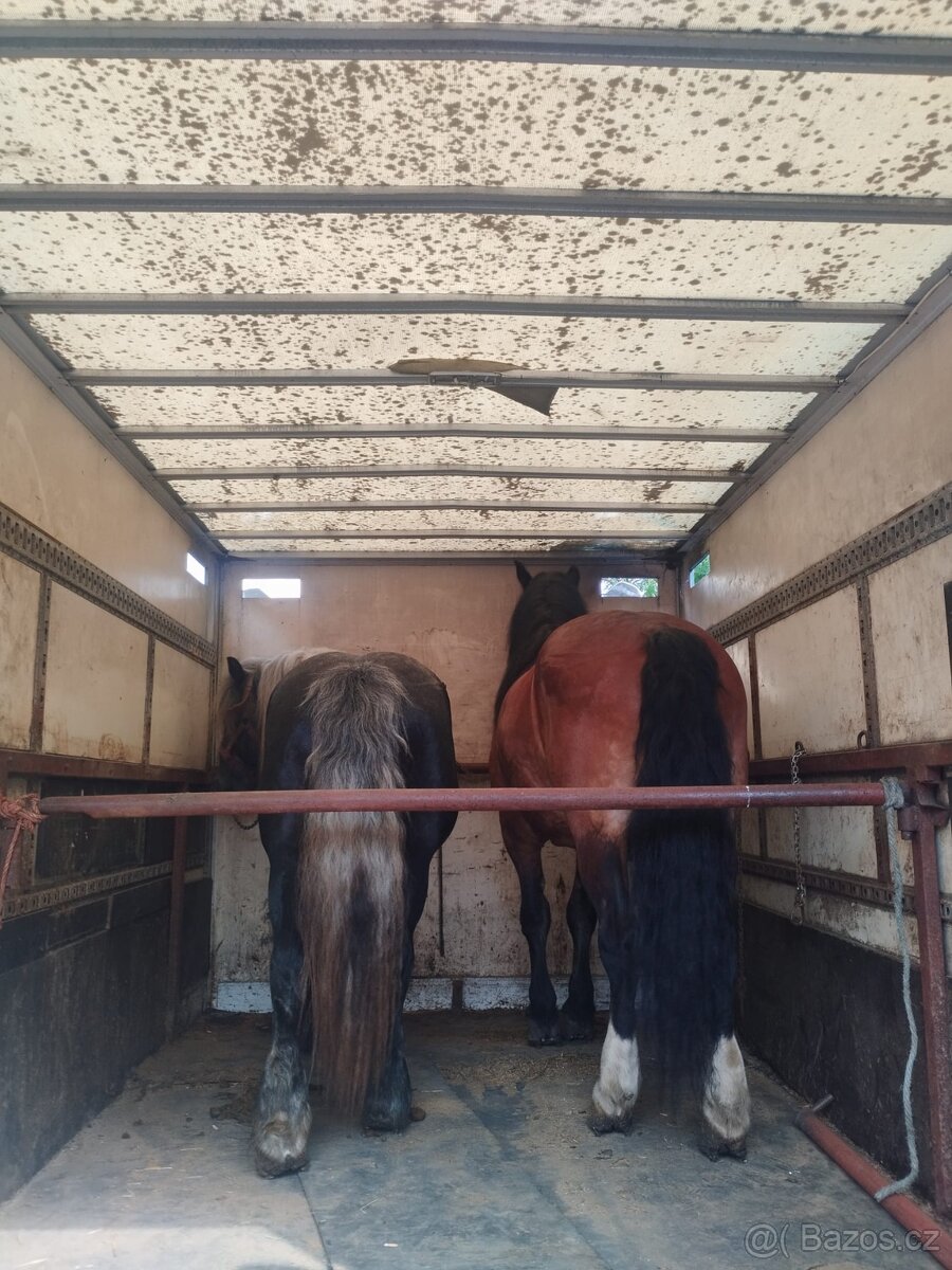 Prodám Mercedes-Benz ateco - 3