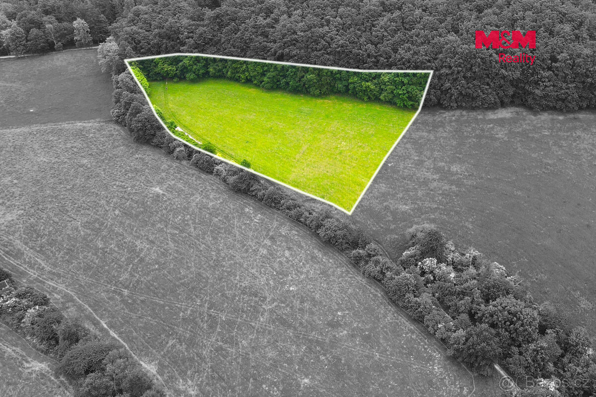 Prodej louky, 11031 m², Staré Hutě - 3