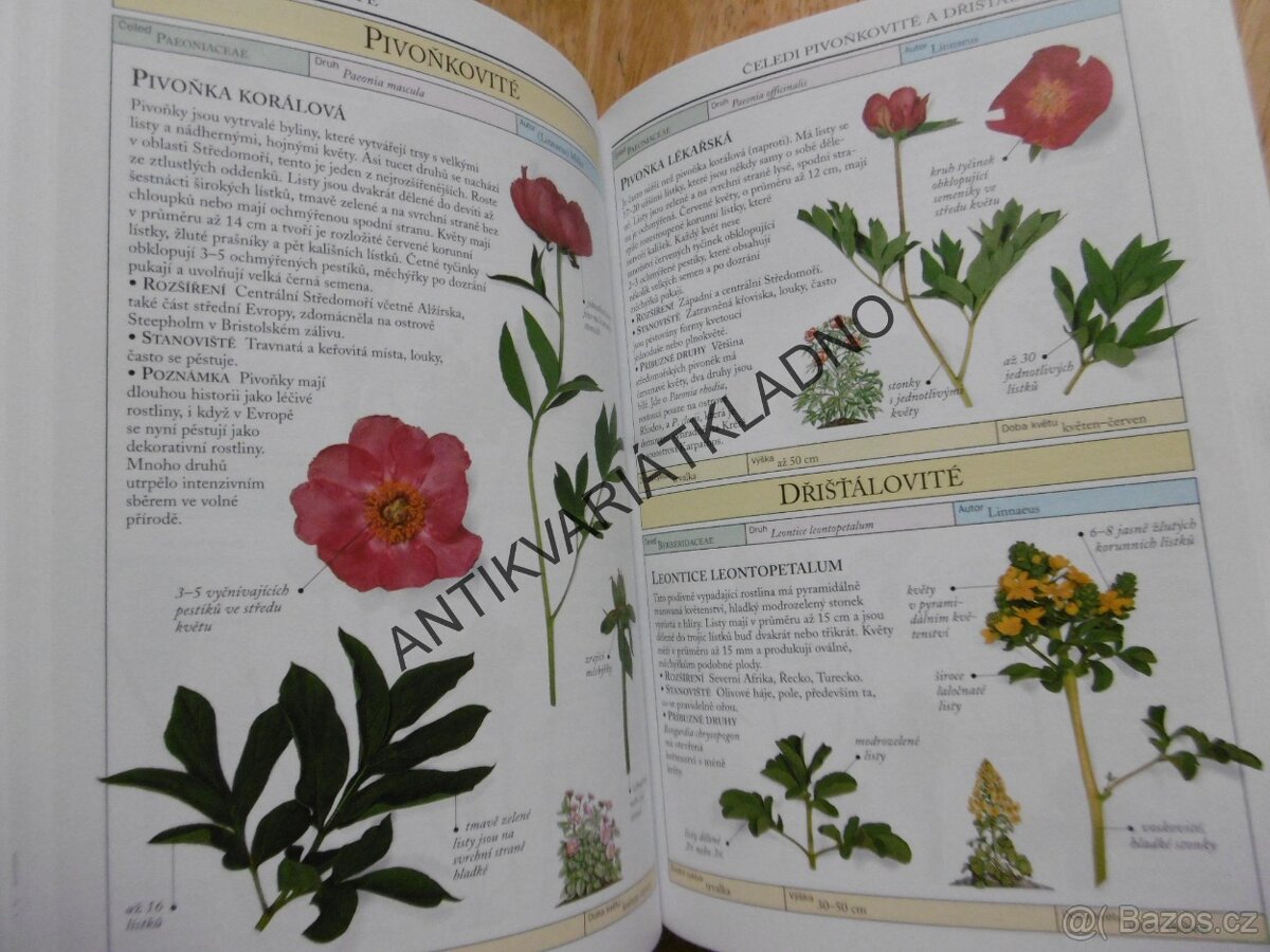 Příroda v kostce: Hmyz, Houby, Savci, Rostliny Středomoří - 3