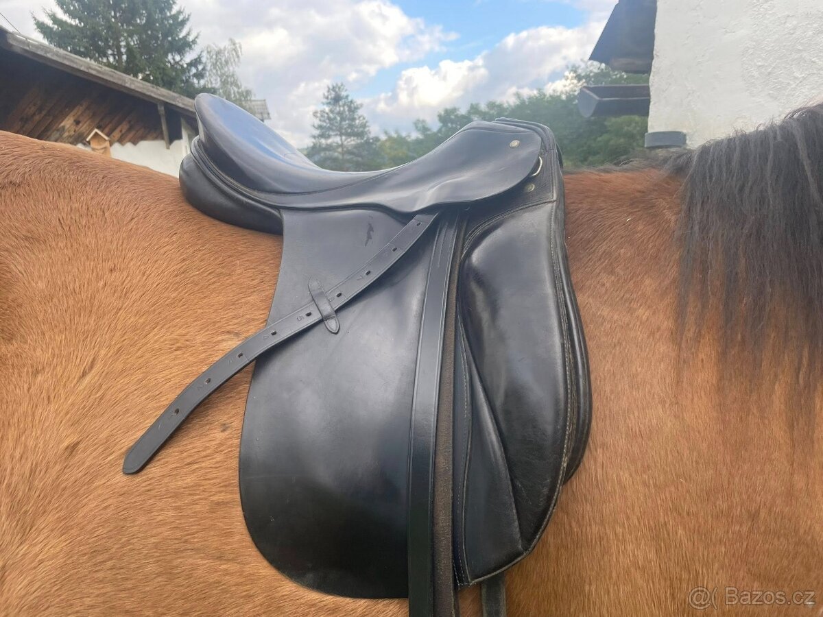 Passier GG Hannover - 3