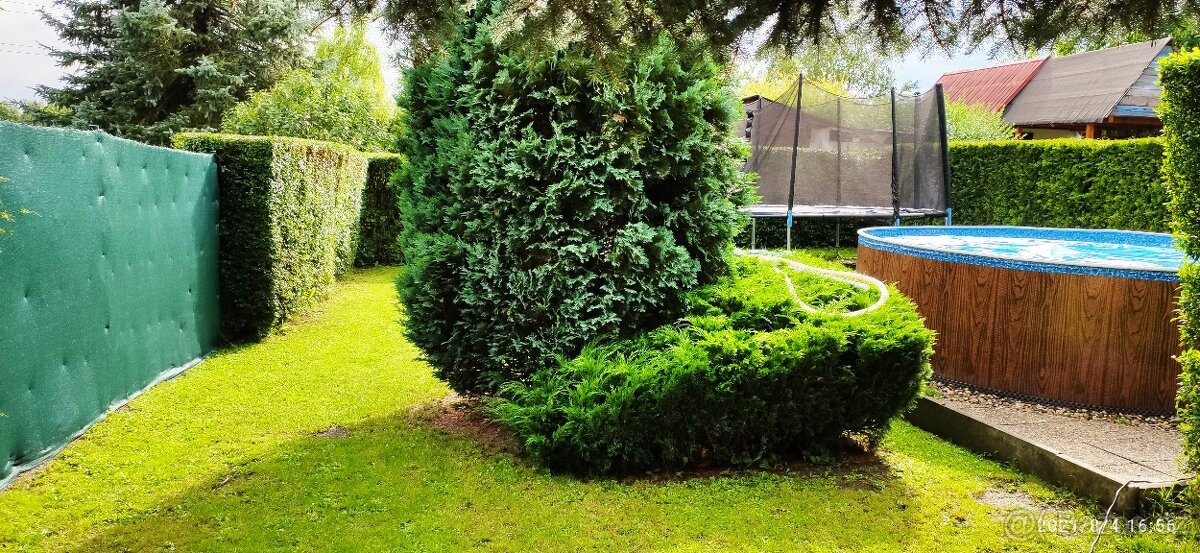 Pronájem zahrady - 3