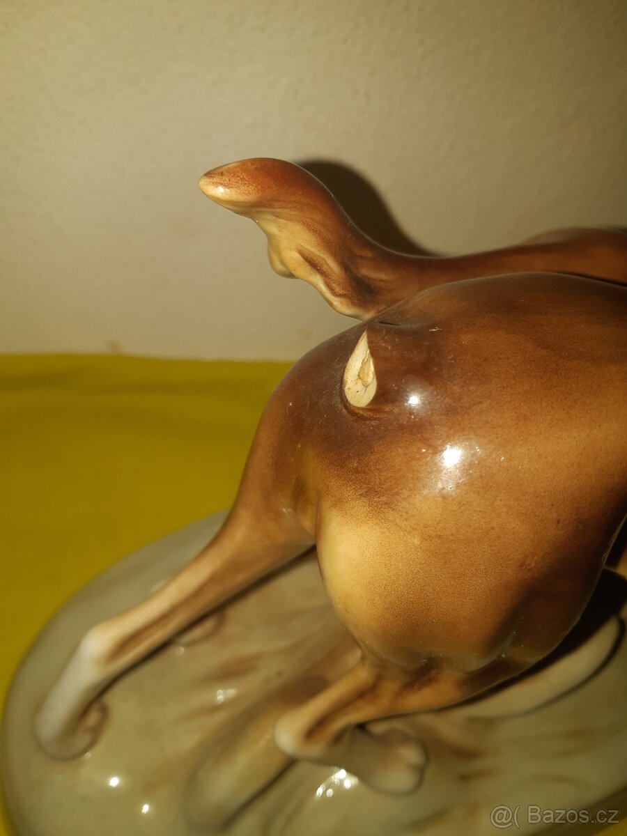 Lovecký psi Royal Dux - 3